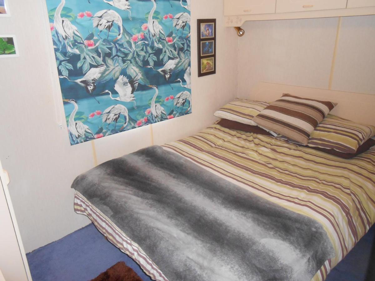 'The Cabin'. A Cosy Private & Secure Holiday Home. Padeswood Zewnętrze zdjęcie